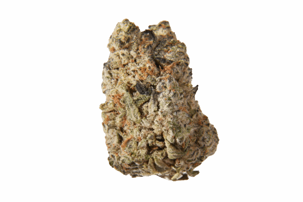 OZ of Choice - Once of Sale - Image 3
