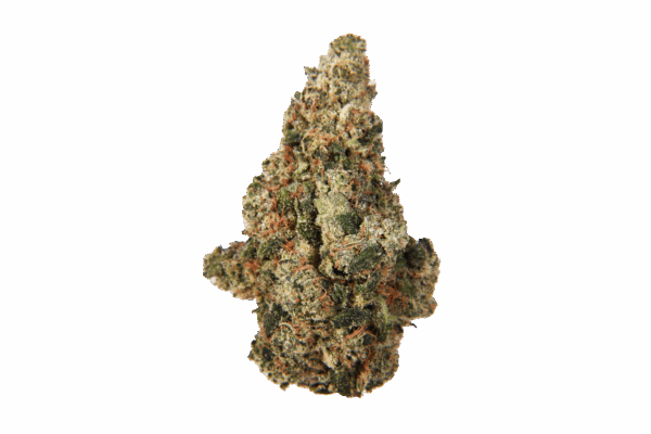 OZ of Choice - Once of Sale - Image 4