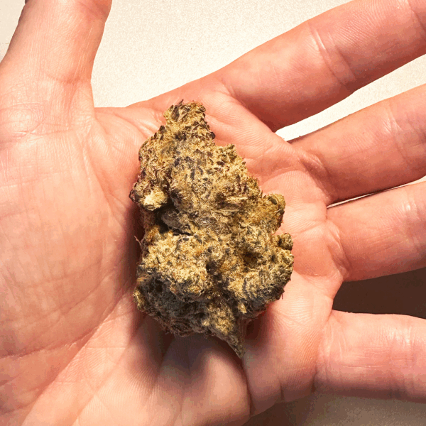 Cactus Breath 7 grams - Image 2